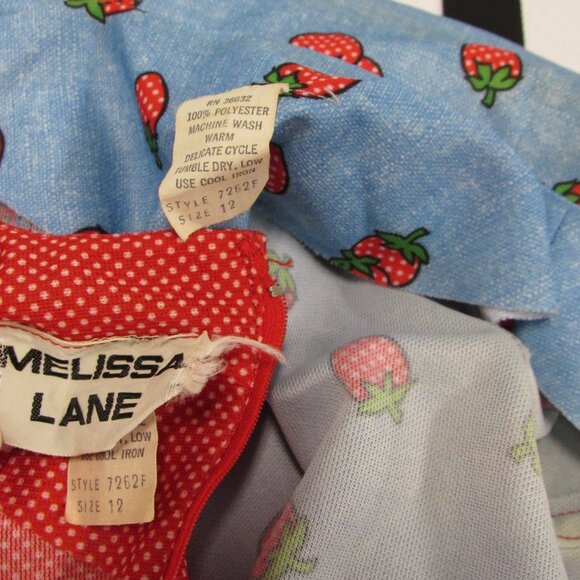 Vintage 70s Melissa Lane Strawberry Print Dress & Tie Jacket Topper Set sz 12 - Picture 7 of 8